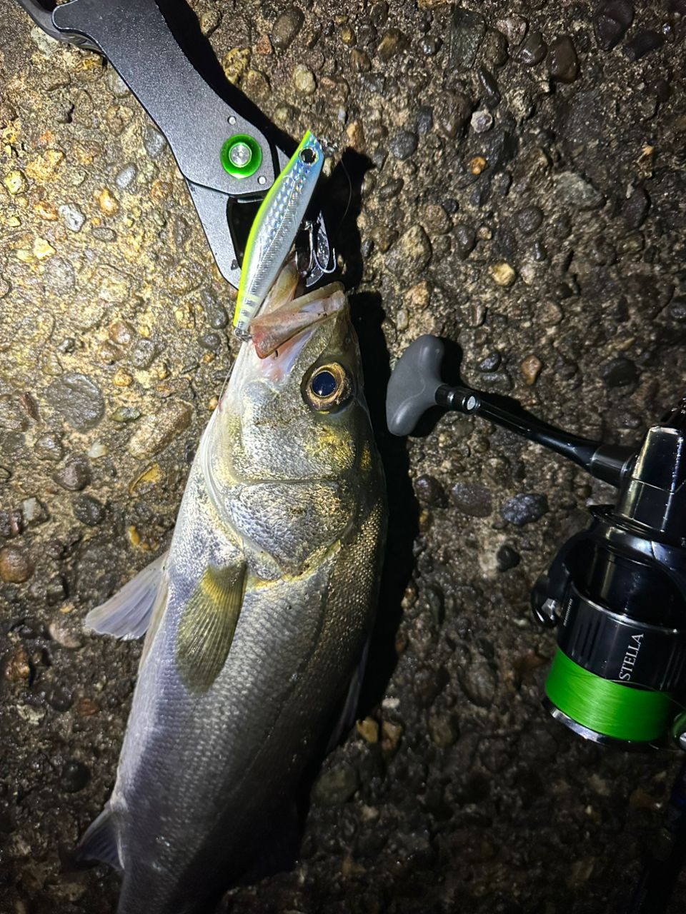 SHIMANO 19スコーピオン 2831R-2の最安値・インプレ・釣果 | 本音の