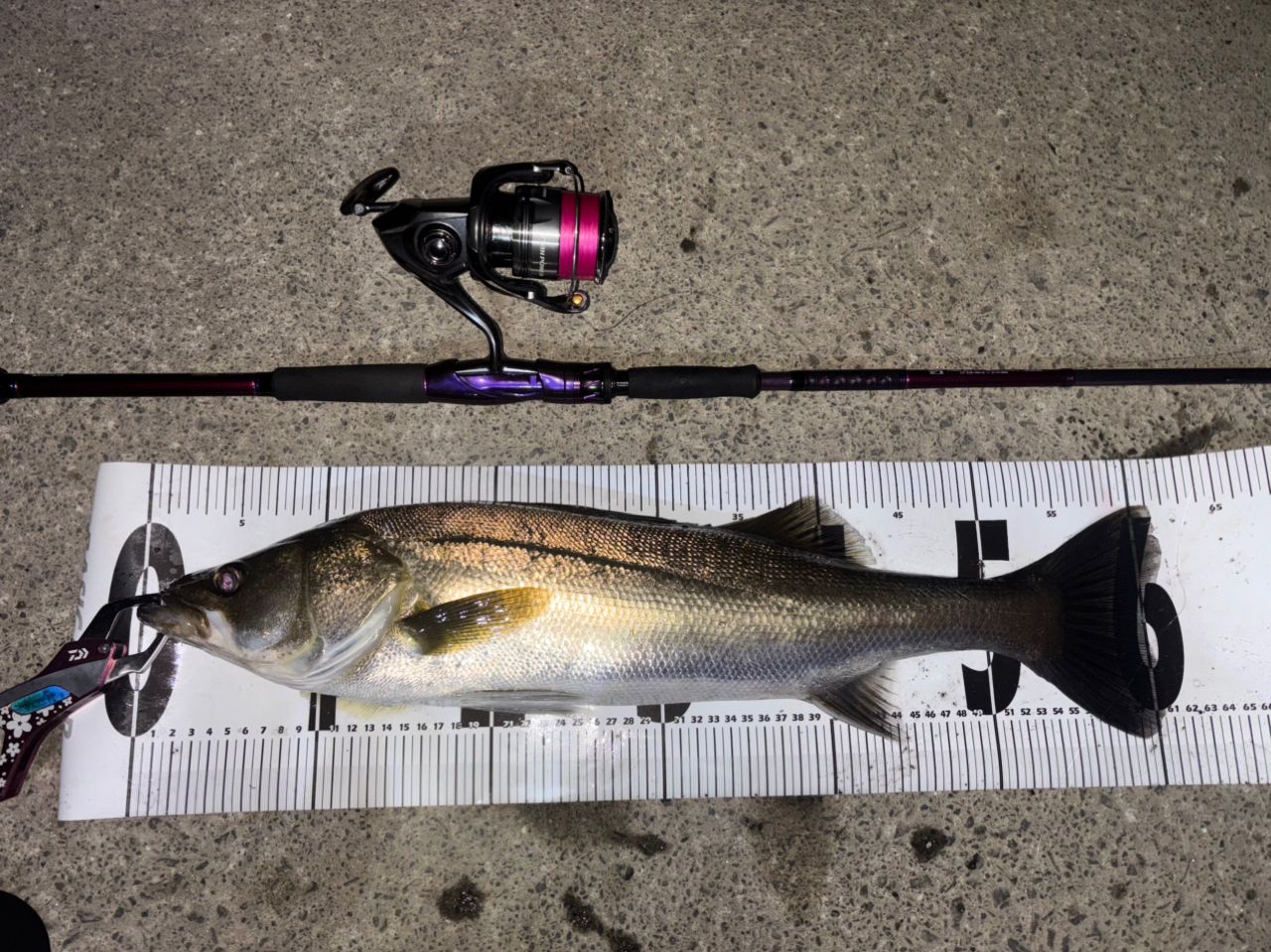 DAIWA 23ハートランド リベラリスト 903ML+RSS-22の最安値・インプレ