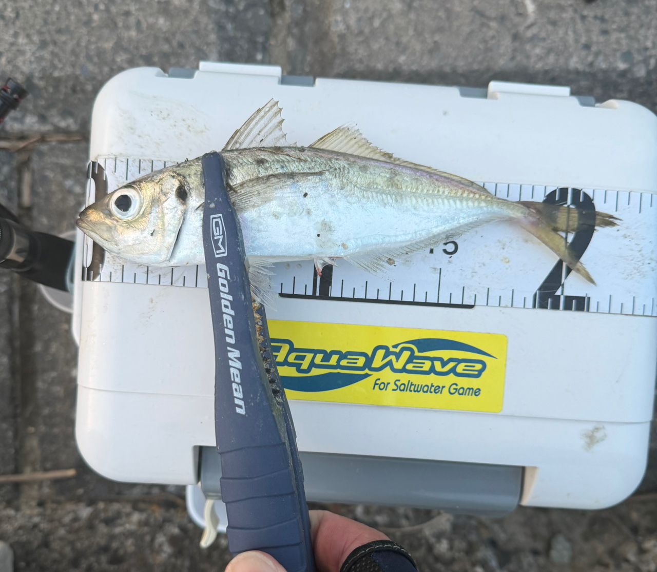 AbuGarcia ソルティーステージ プロトタイプ アジング XAJS-5102LSSの