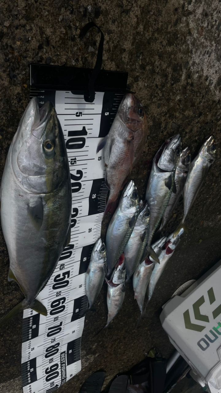 SHIMANO ホリデーマリン 73 30-210の最安値・インプレ・釣果 | 本音の