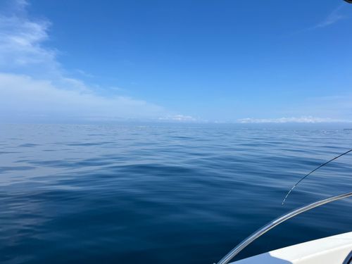 イトヨリダイの釣果
