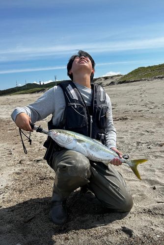 ワラサの釣果