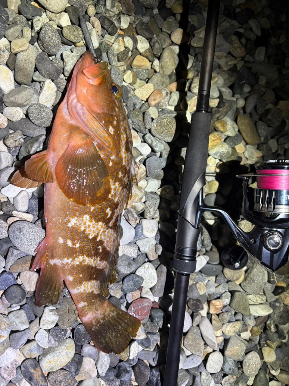 SHIMANO 23ディアルーナ S100MHの最安値・インプレ・釣果 | 本音の