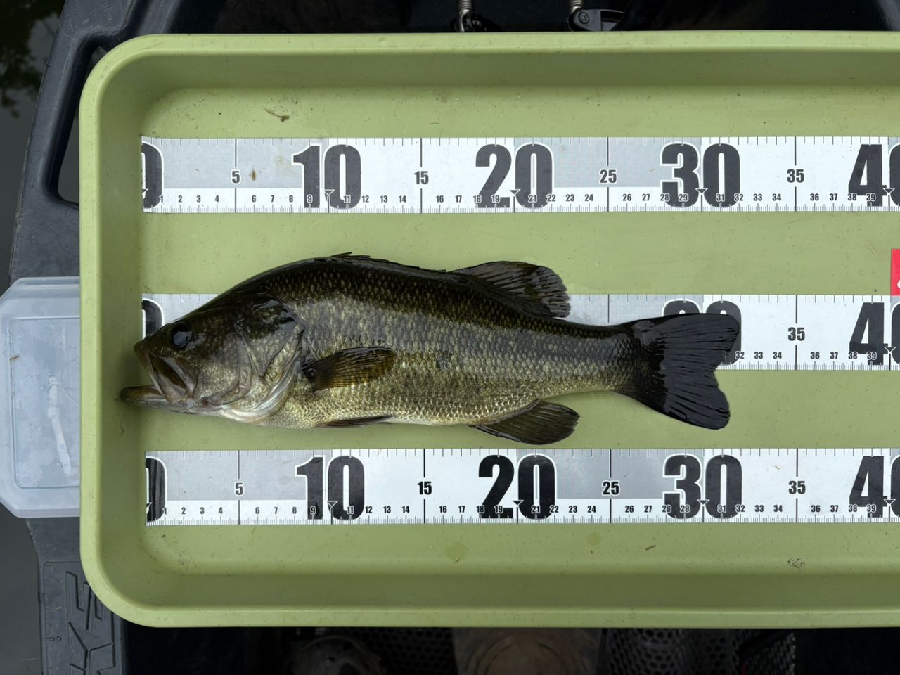 手渡し可　ダイワ 19 ブラックレーベル BLX SG 671L/ML+FB DAIWA 19ブラックレーベル SG 671L/ML+FBの最安値・インプレ・釣果