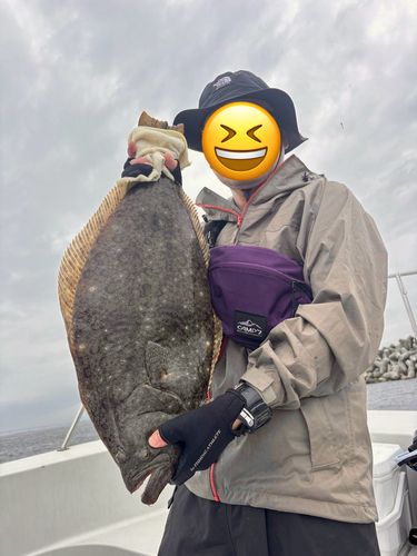 ヒラメの釣果