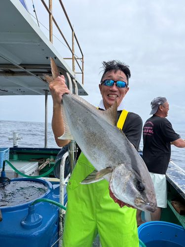 カンパチの釣果