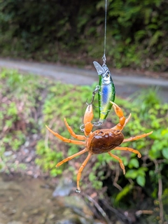 釣果