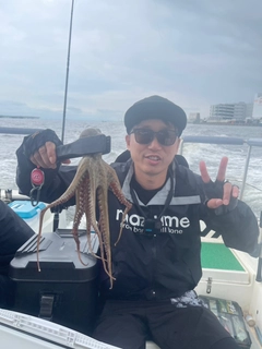 マダコの釣果