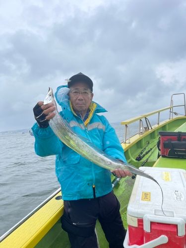 タチウオの釣果