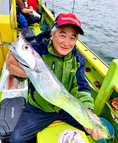 タチウオの釣果