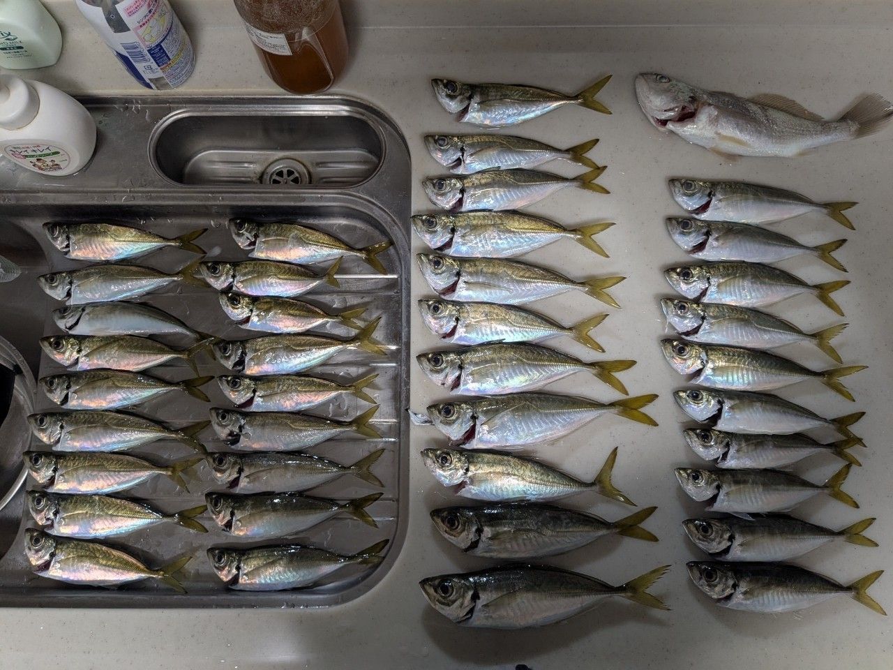 SHIMANO 21バルケッタ 300HGの最安値・インプレ・釣果 | 本音の口コミ