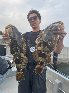 ベッコウゾイの釣果