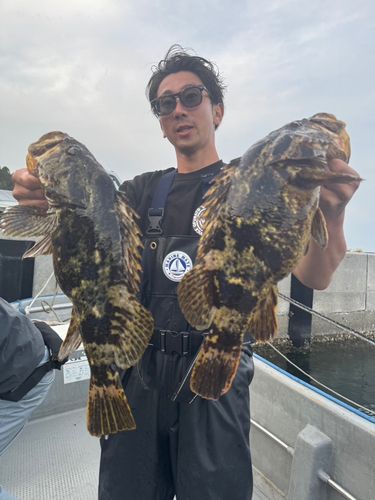 ベッコウゾイの釣果
