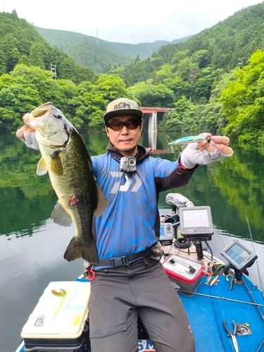 ブラックバスの釣果