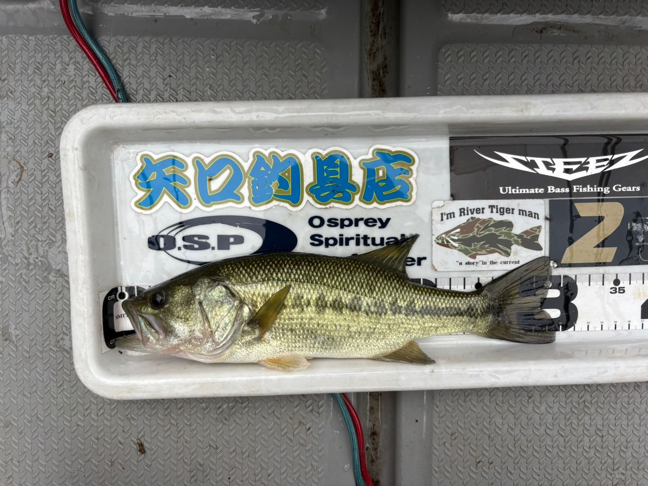 DAIWA 18タトゥーラ LT2500S-XHの最安値・インプレ・釣果 | 本音の