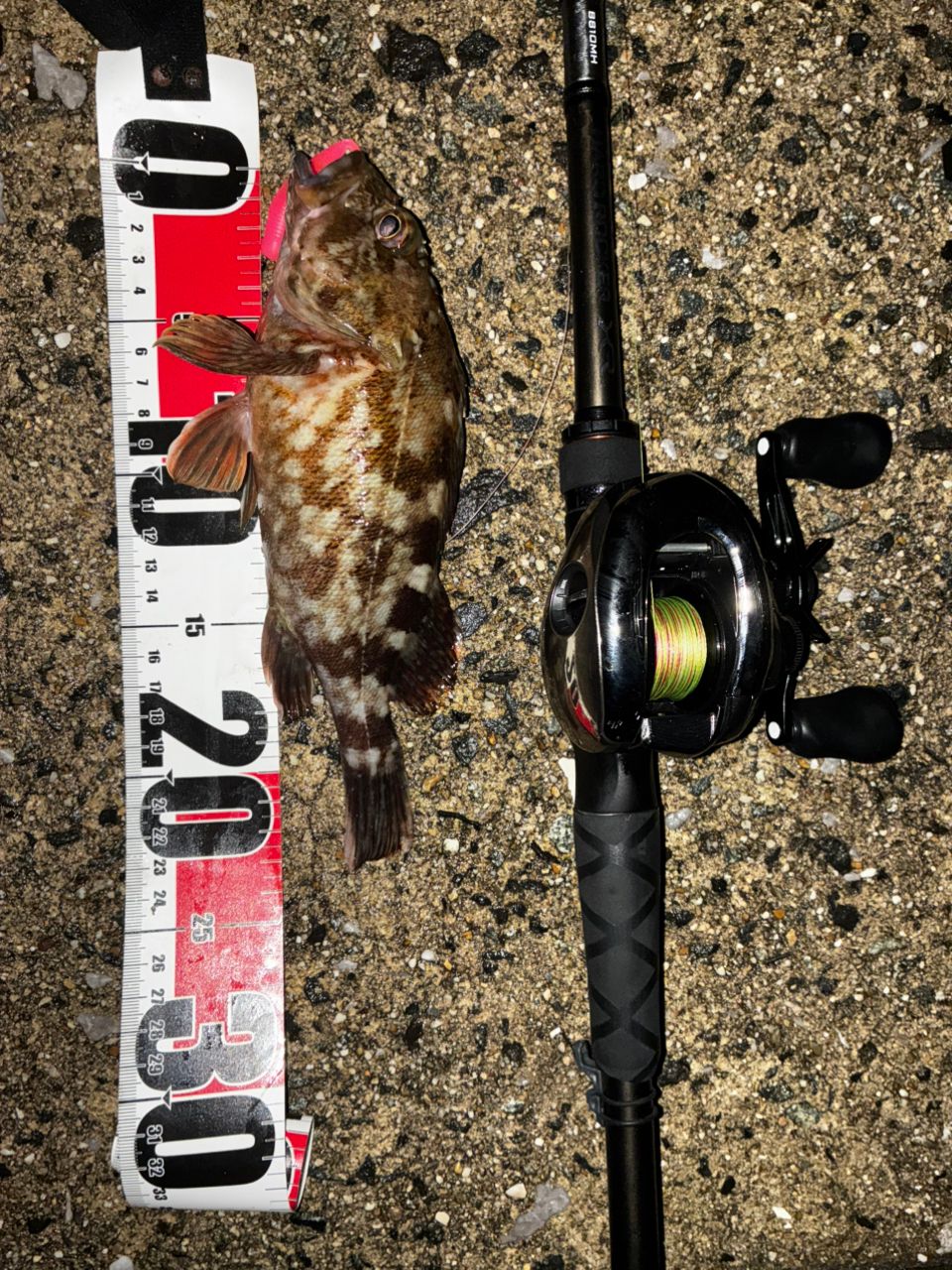 20ハードロッカーXR B810MH SHIMANO 20ハードロッカー XR B810MHの最安値・インプレ・釣果 | 本音