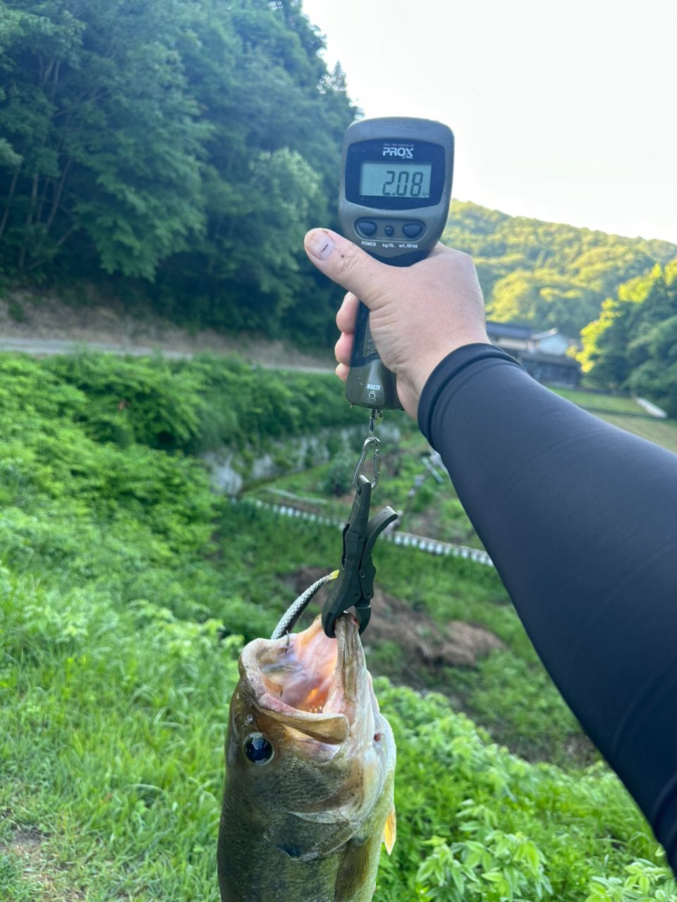 ブラックバスの釣果写真