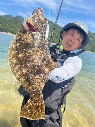 ヒラメの釣果