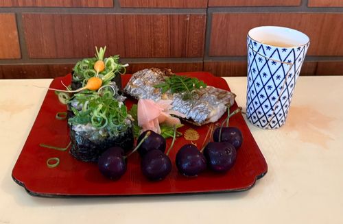 ウルメイワシの釣果