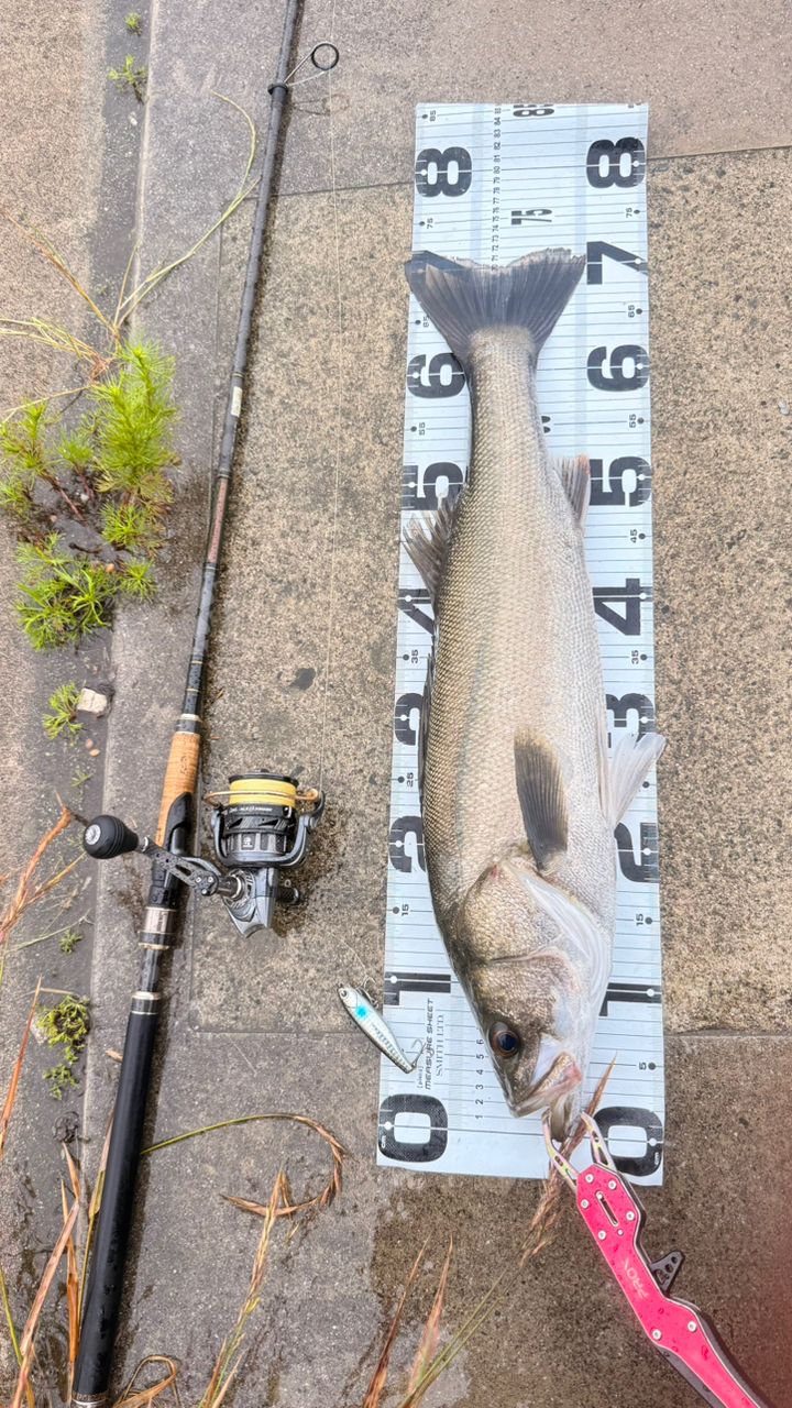 AbuGarcia ソルティーステージ KR-Xシーバスの最安値・インプレ・釣果