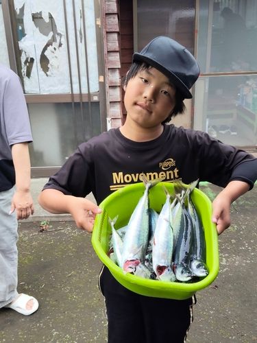 ムロアジの釣果