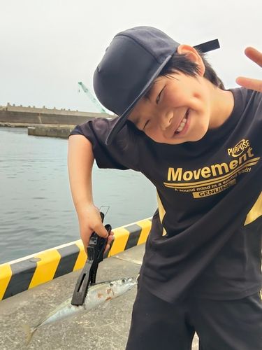 ムロアジの釣果