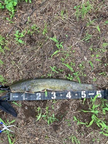 アングラーズ[ANGLERS] - 釣果や口コミで探せる魚釣り情報サイト