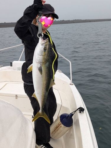 ブリの釣果