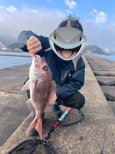 タイの釣果