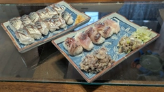 コノシロの釣果
