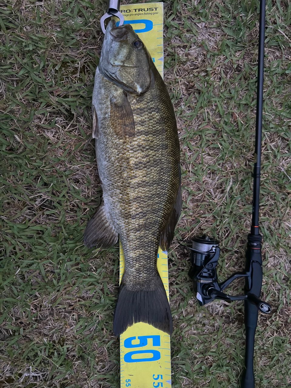 SHIMANO 18ポイズン アドレナ 2610UL/Mの最安値・インプレ・釣果