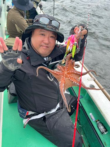 マダコの釣果