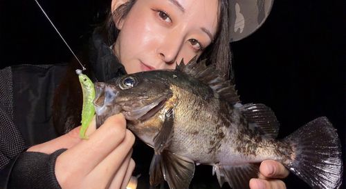 クロメバルの釣果