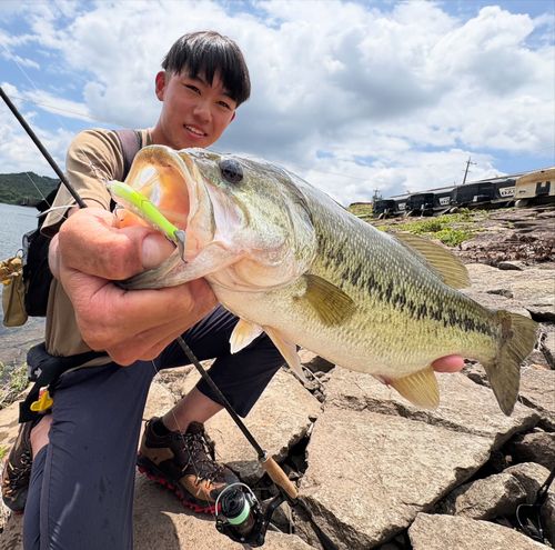 ブラックバスの釣果