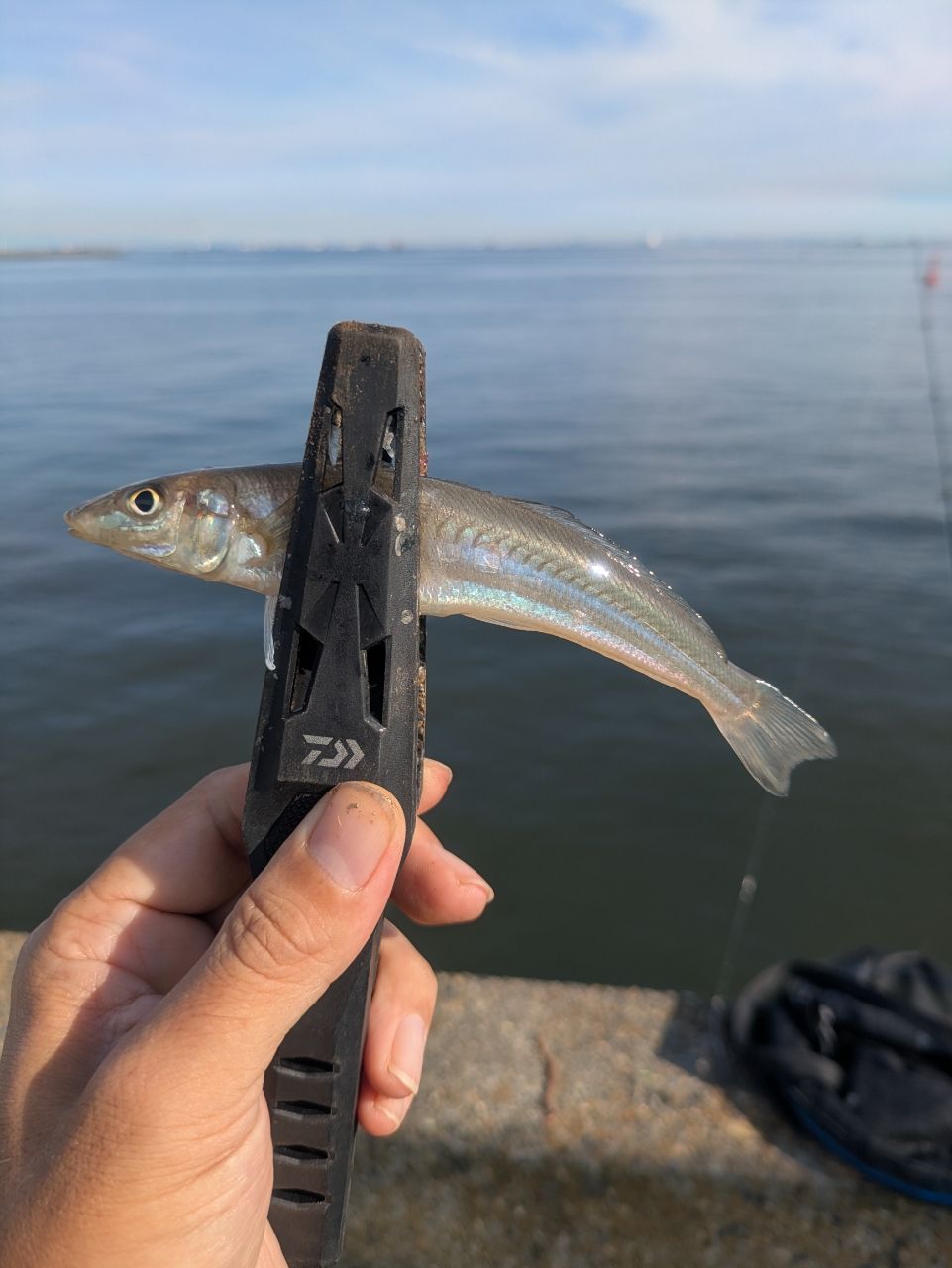 AbuGarcia クロスフィールド XRFS-904M-TEの最安値・インプレ・釣果
