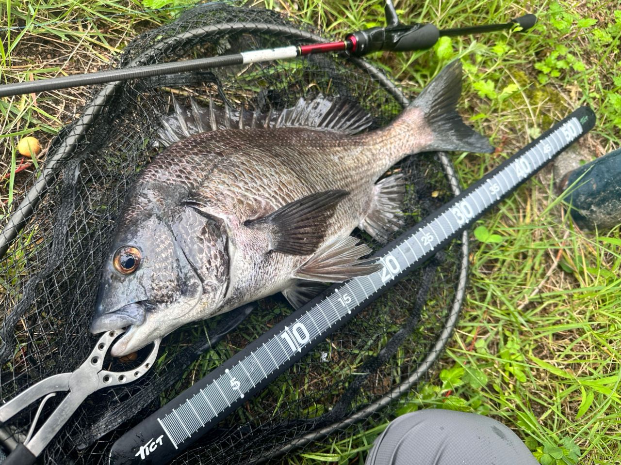 DAIWA 23月下美人 AIR 68L-T・Wの最安値・インプレ・釣果 | 本音の
