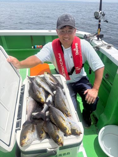 イサキの釣果