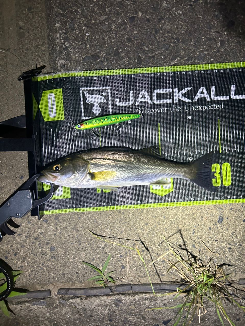 DAIWA 21シーバスハンター X 93ML・Rの最安値・インプレ・釣果 | 本音