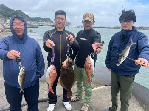 ヒラメの釣果