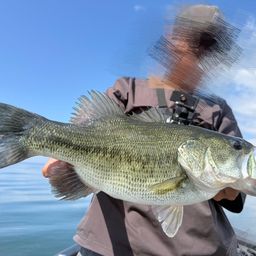 それでも俺は釣りに行く さんの 2026年06月21日のブラックバスの釣り