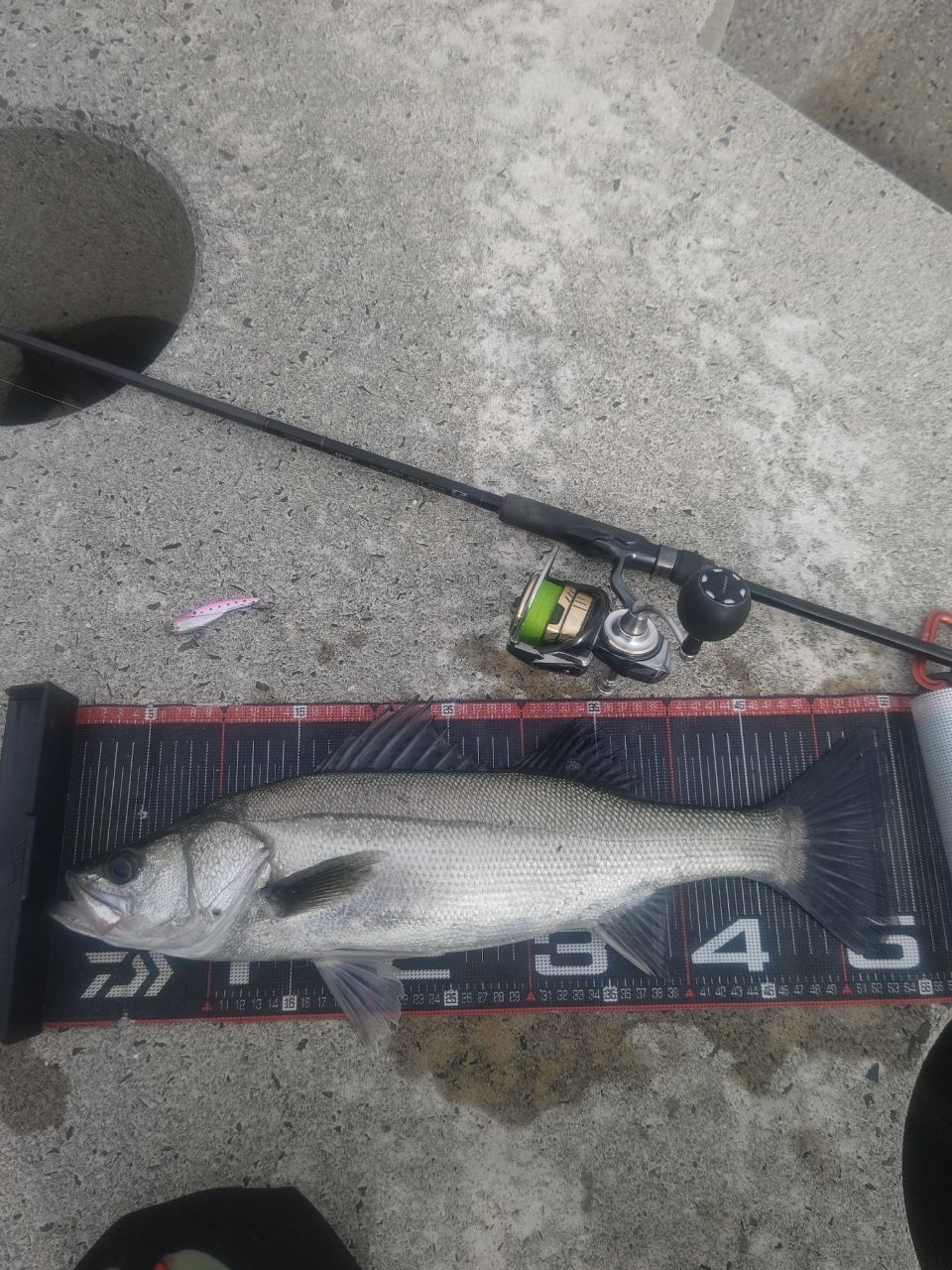 DAIWA 22HRF® (ハードロックフィッシュ) 86M・Qの最安値・インプレ