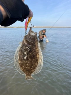 ソゲの釣果