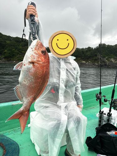 タイの釣果
