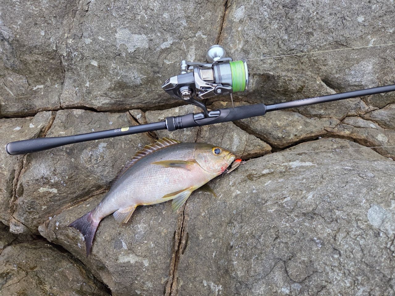 SHIMANO 23ディアルーナ S100MHの最安値・インプレ・釣果 | 本音の