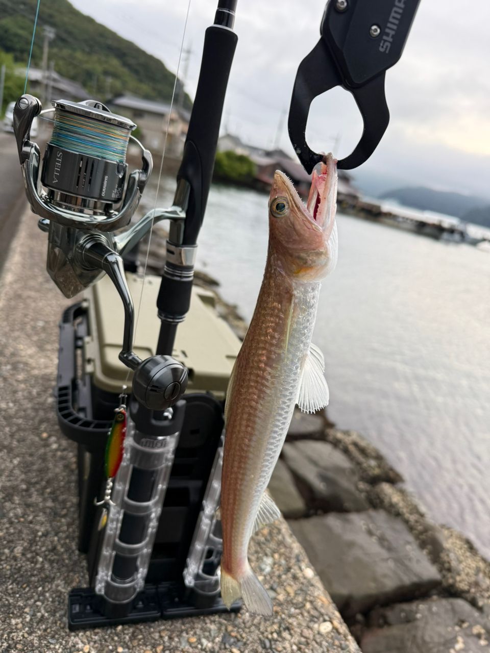 SHIMANO 20コルトスナイパー XR S96MLの最安値・インプレ・釣果 | 本音