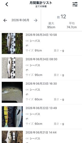 シーバスの釣果