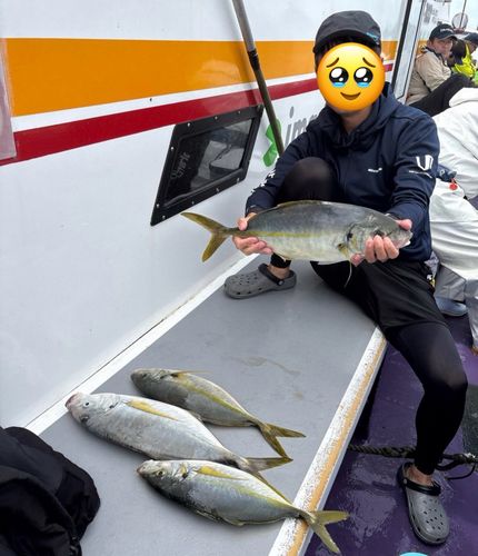 シマアジの釣果