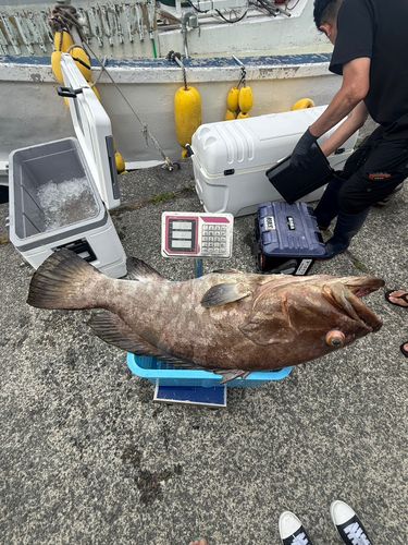 モロコの釣果