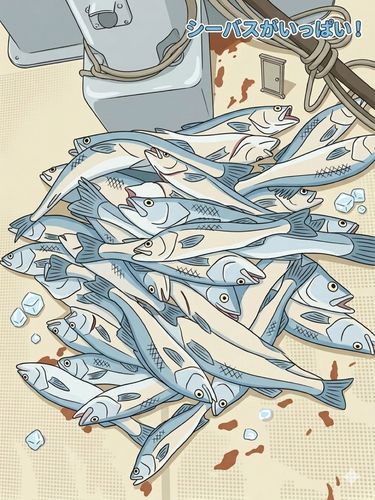 シーバスの釣果