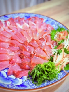 ハマチの釣果